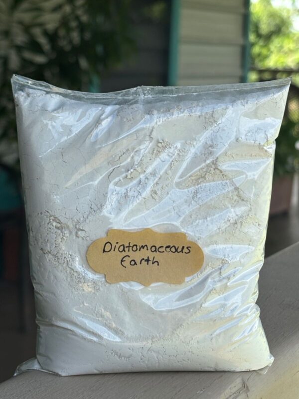 Diatomaceous Earth