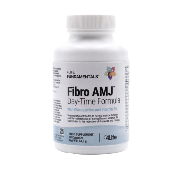 Fibro AMJ